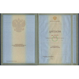 Диплом для иностранцев 1997-2013